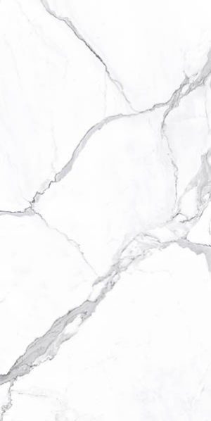 КЕРАМОГРАНИТ VIENMATCH ALTO STATUARIO R POLISHED