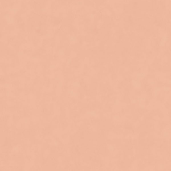 КЕРАМИЧЕСКИЙ ГРАНИТ W&S FL. RAINBOW QUARZO 120X120
