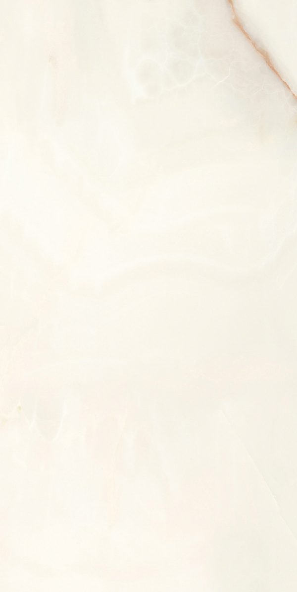 КЕРАМОГРАНИТ BIJOUX ONYX BLANCHE MATTE 60X120 RETT — изображение 2