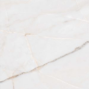 КЕРАМОГРАНИТ UNDEFASA ESSENZA PW R 80X80