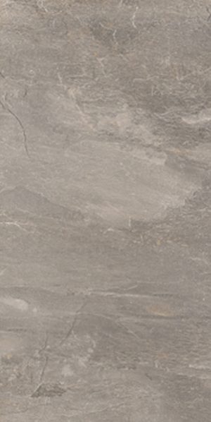 КЕРАМОГРАНИТ ARDOISE PLOMB NAT 30,4X60,8 RET