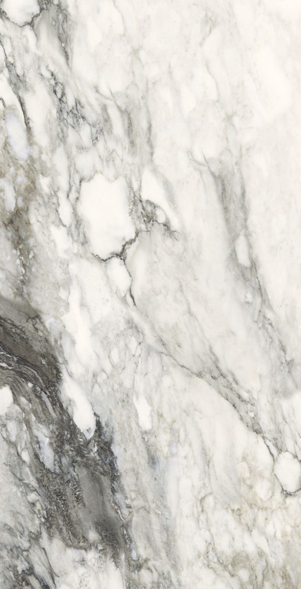 КЕРАМОГРАНИТ ETOILE RENOIR GLOSSY 10 ММ 40X80 RET — изображение 4