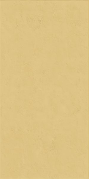 КЕРАМИЧЕСКАЯ ПЛИТКА WIDE&STYLE MINI GINGER RET 60Х120