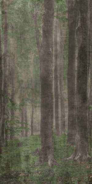 КЕРАМИЧЕСКАЯ ПЛИТКА W&S D+ WOODS A   120X240