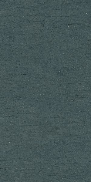 КЕРАМОГРАНИТ PTR.STN.RE BASAL.DARK ASH NAT R60X120