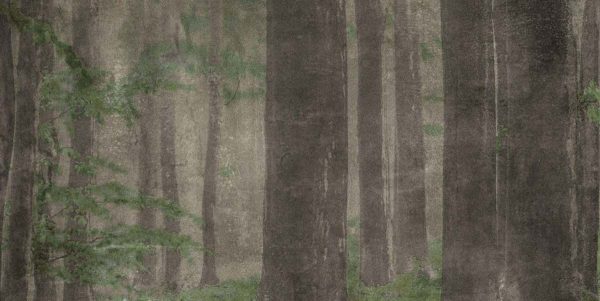 КЕРАМИЧЕСКАЯ ПЛИТКА W&S D CP4 WOODS A 120X240 — изображение 3