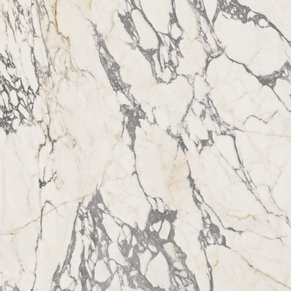 КЕРАМОГРАНИТ EPOQUE 21 ARABESCATO NAT RET 80X80 — изображение 4
