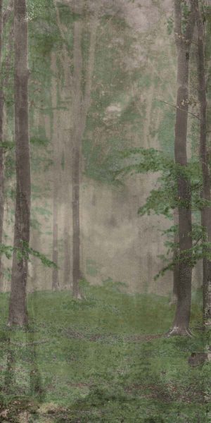КЕРАМИЧЕСКАЯ ПЛИТКА W&S D WOODS B 120X240