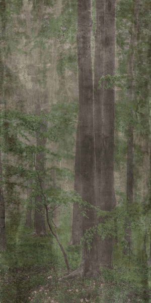 КЕРАМИЧЕСКАЯ ПЛИТКА W&S D WOODS C 120X240