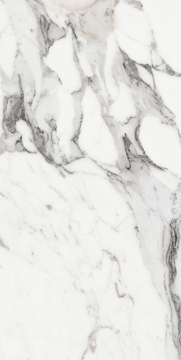 КЕРАМОГРАНИТ LES ORIGINES DE REX  ARGENT GLOSSY 60X120 — изображение 2
