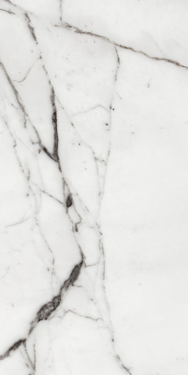 КЕРАМОГРАНИТ LES ORIGINES DE REX  ARGENT GLOSSY 60X120 — изображение 5