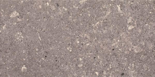 ПЛИТКА CERAMIKA PARADYZ ARAGORN GRYS 30X60