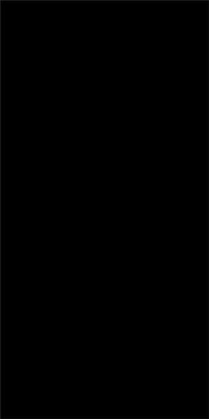 КЕРАМИЧЕСКАЯ ПЛИТКА ABSOLUTE BLACK LAPP/RETT	120X240