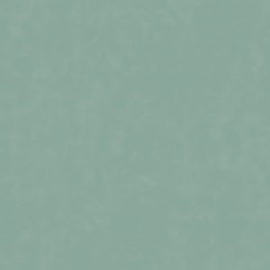 КЕРАМИЧЕСКИЙ ГРАНИТ W&S FL. RAINBOW SALVIA 120X120
