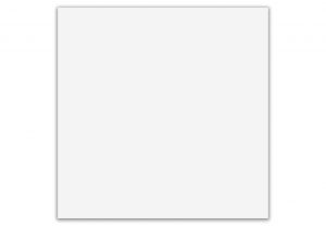 КЕРАМОГРАНИТ CODICER BASIC WHITE 25X25