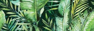 ДЕКОР ОТ ПАННО CERAMIKA KONSKIE BRAGA TROPIC B RECT 25X75