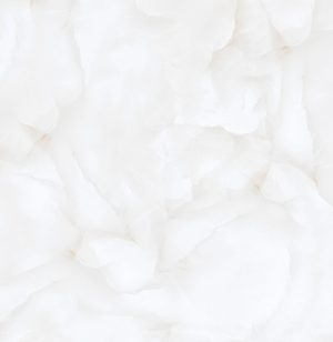 КЕРАМОГРАНИТ REALISTIK BRAIS WHITE GLOSSY 60X60