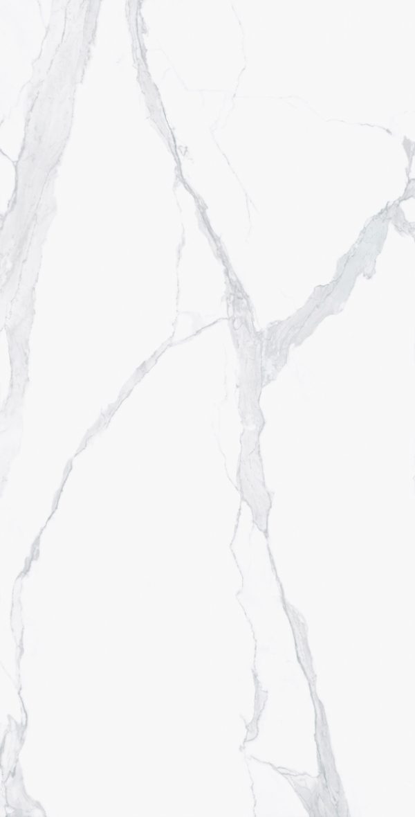 КЕРАМОГРАНИТ I CLASSICI STATUARIO SOFT.60X120 RET