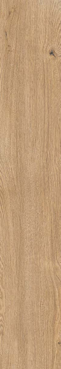 КЕРАМОГРАНИТ 4 SEASONS  HONEY         NAT R20X120