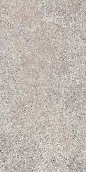 КЕРАМОГРАНИТ NATIVE ASH RET  30X60
