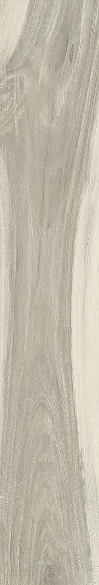 КЕРАМИЧЕСКАЯ ПЛИТКА KAURI CATLINS NAT RETT 	20X120