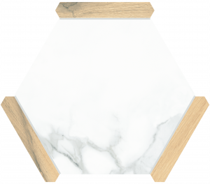 КЕРАМОГРАНИТ MONOPOLE DENIA BEIGE 22X25