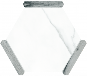 КЕРАМОГРАНИТ MONOPOLE DENIA GREY 22X25