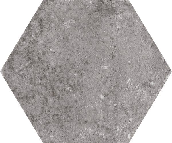 КЕРАМОГРАНИТ MONOPOLE POMPEIA GRIS 20X24