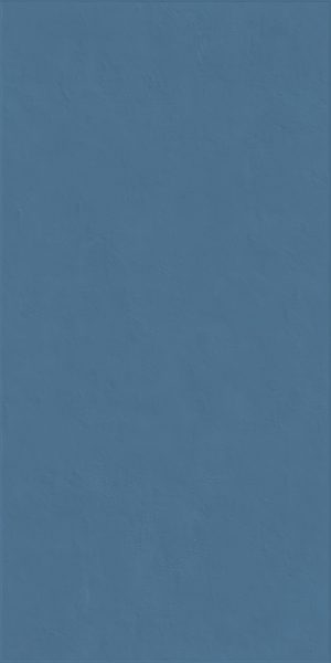 КЕРАМИЧЕСКАЯ ПЛИТКА WIDE&STYLE MINI WHALE RET 60Х120