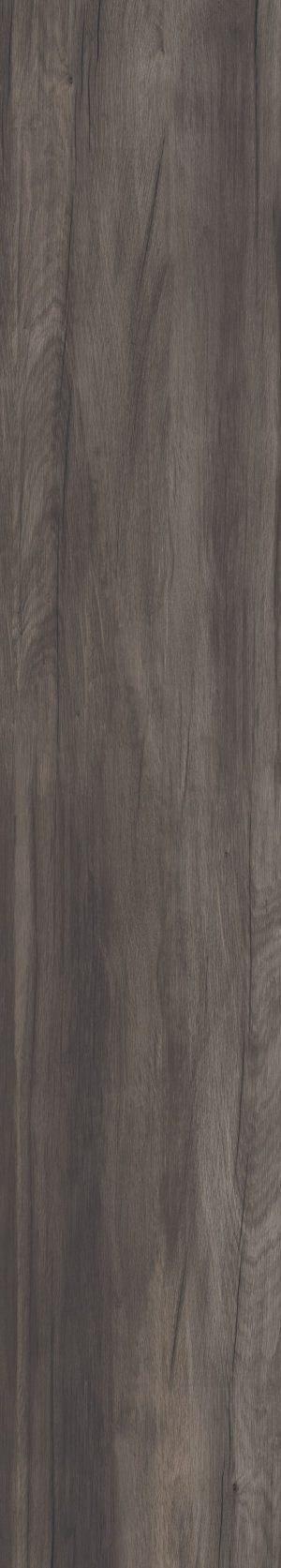 ПЛИТКА НАПОЛЬНАЯ DOLPHIN COAL RETT.	20X120