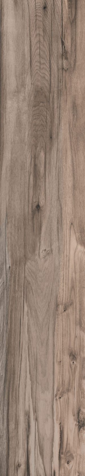 ПЛИТКА НАПОЛЬНАЯ DOLPHIN OAK AGED RETT.	20X120