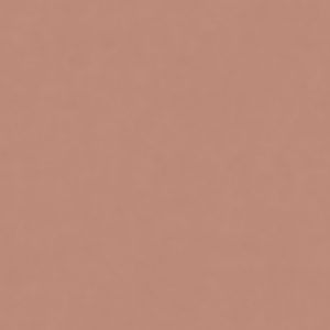 КЕРАМИЧЕСКИЙ ГРАНИТ  W&S FL. RAINBOW PHARD 120X120