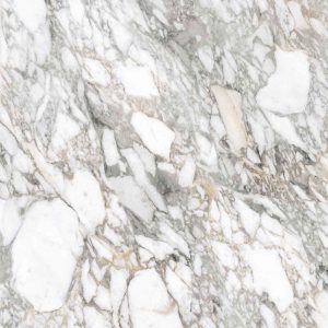 КЕРАМИЧЕСКАЯ ПЛИТКА SPR.MEMOR. BIAN.VAGLI ANT R120X120