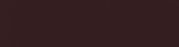 ПЛИТКА ФАСАДНАЯ CERAMIKA PARADYZ NATURAL BROWN ELEWACJA 24,5X6,6