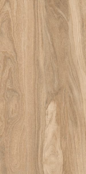 Керамическая плитка 60*120 TAIGA DARK MATT+CARVING IT КЕРАМИЧЕСКАЯ ПЛИТКА 60*120 TAIGA DARK MATT+CARVING IT