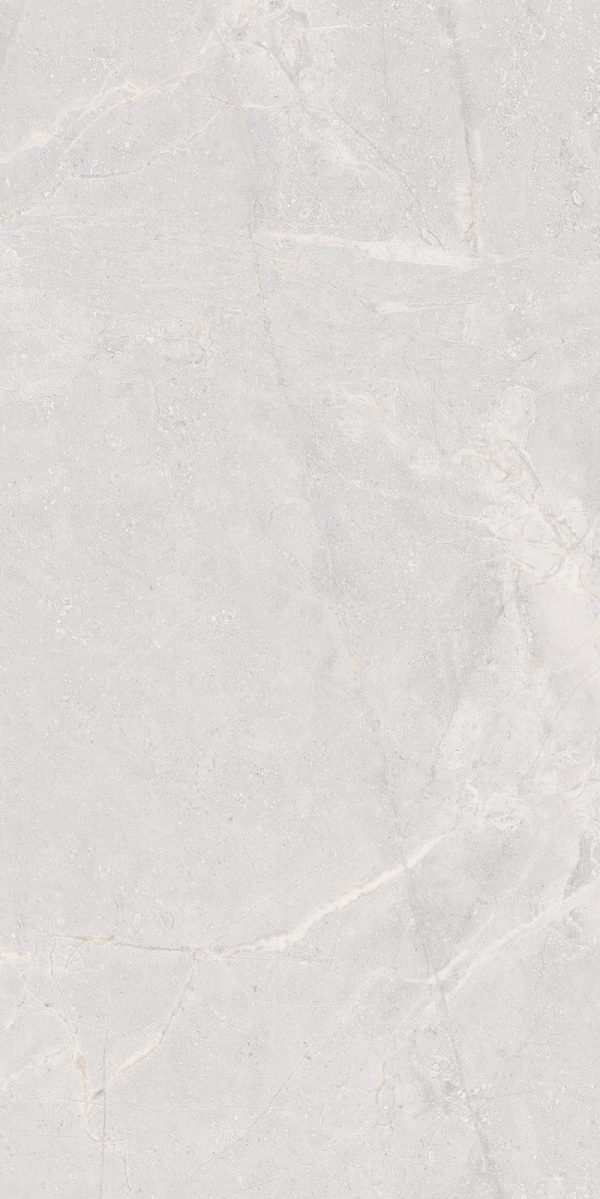 КЕРАМОГРАНИТ REALISTIK MIA WHITE SUGAR CARVING 60X120 — изображение 5