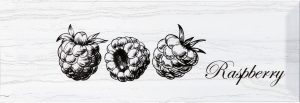 ДЕКОР MONOPOLE FRUIT LAGUNA RASPBERRY 10X30
