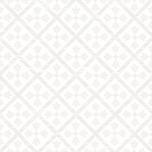 КЕРАМОГРАНИТ MONOPOLE GUADALUPE WHITE 18,7X18,7 (0,8)