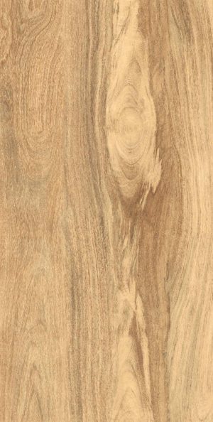 Керамическая плитка 60*120 TAIGA LIGHT MATT+CARVING IT (х) КЕРАМИЧЕСКАЯ ПЛИТКА 60*120 TAIGA LIGHT MATT+CARVING IT (Х)