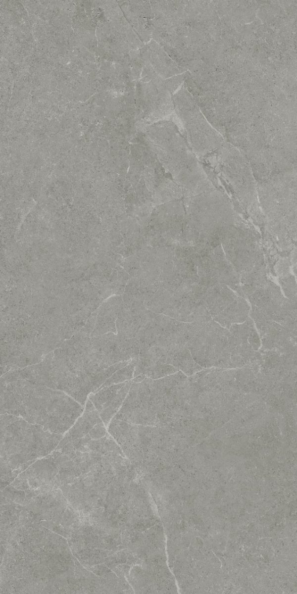 КЕРАМОГРАНИТ REALISTIK ANKARA SEMI POLISHED MATT 60X120 (1,44) — изображение 6