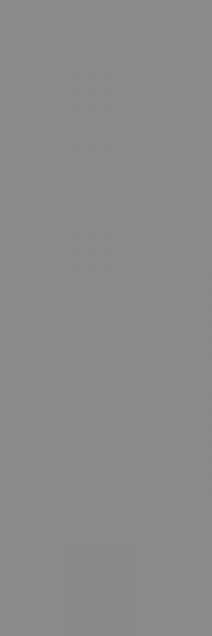 Керамическая плитка AIZA GREY POLISHED 800X2400X15mm КЕРАМИЧЕСКАЯ ПЛИТКА AIZA GREY POLISHED 800X2400X15MM