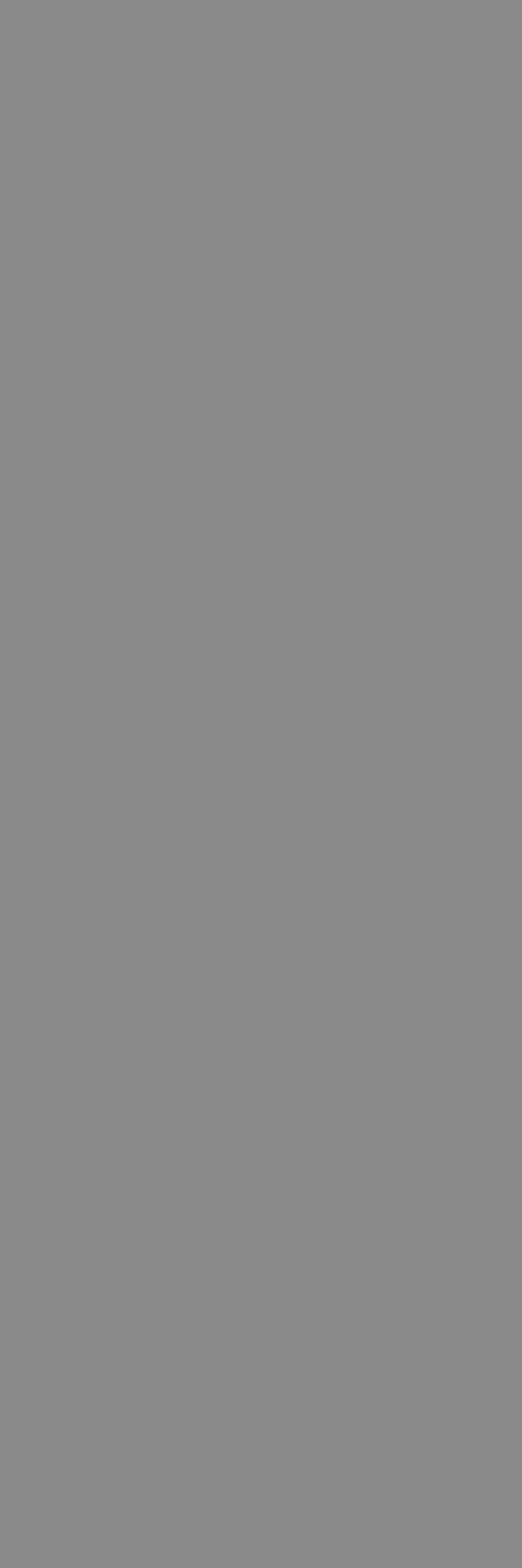 Керамическая плитка AIZA GREY POLISHED 800X2400X15mm КЕРАМИЧЕСКАЯ ПЛИТКА AIZA GREY POLISHED 800X2400X15MM