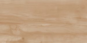 КЕРАМОГРАНИТ REALISTIK PAINT WOOD BONE GLOSS 60X120 (1,44)
