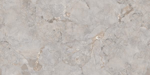 КЕРАМОГРАНИТ REALISTIK RS ENDLESS 001 GREY CARVING 60X120 (1,44) — изображение 3