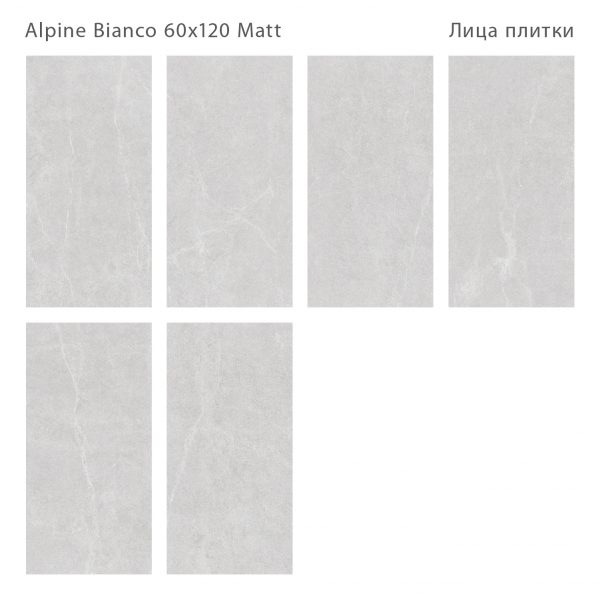 ALPINE BIANCO 60X120 MATT