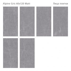 ALPINE GRIS 60X120 MATT