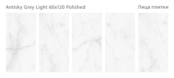 ANTISKY GREY LIGHT 60X120 POLISHED — изображение 2