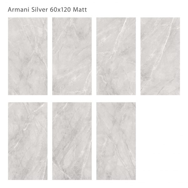 ARMANI SILVER 60X120 MATT