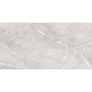 ARMANI SILVER 60X120 MATT