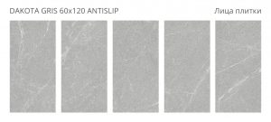 DAKOTA GRIS 60X120 ANTISLIP